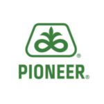 pioneer